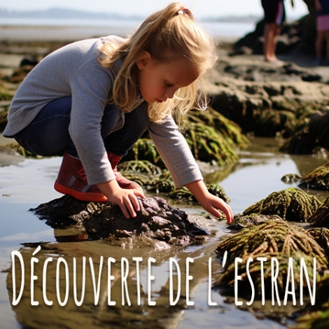 Slvie Cornouaille - Découverte de l'estran avec Scarlette Le Corre au Guilvinec