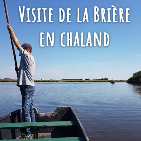 2025 - SLV LORIENT QUIMPERLE - Visite de la Brière en chaland