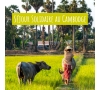 2026 - Commission Loisirs et Culture - Séjour solidaire au Cambodge