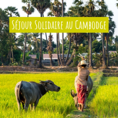 2026 - Commission Loisirs et Culture - Séjour solidaire au Cambodge 2026 - Commission Loisirs et Culture - Séjour solidaire au Cambodge