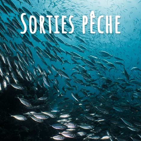 2026 - Commission Jeunes Agents - Sortie Pêche FINISTERE - 02/08