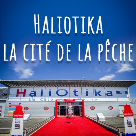 Commission pensionnés-  Sortie à Haliotika