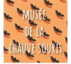 Slvie Lorient-Quimperlé  - Visite du musée de la chauve souris