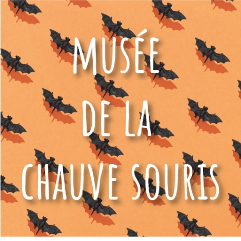 Slvie Lorient-Quimperlé  - Visite du musée de la chauve souris